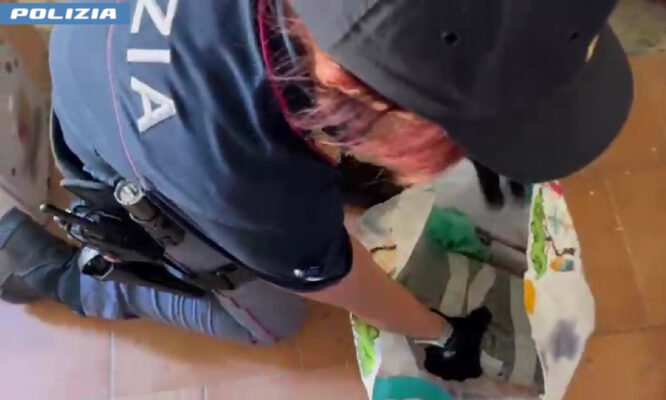 Affitta un garage per nascondere la droga, ma il fiuto di “Ares” svela tutto: arrestato 28enne