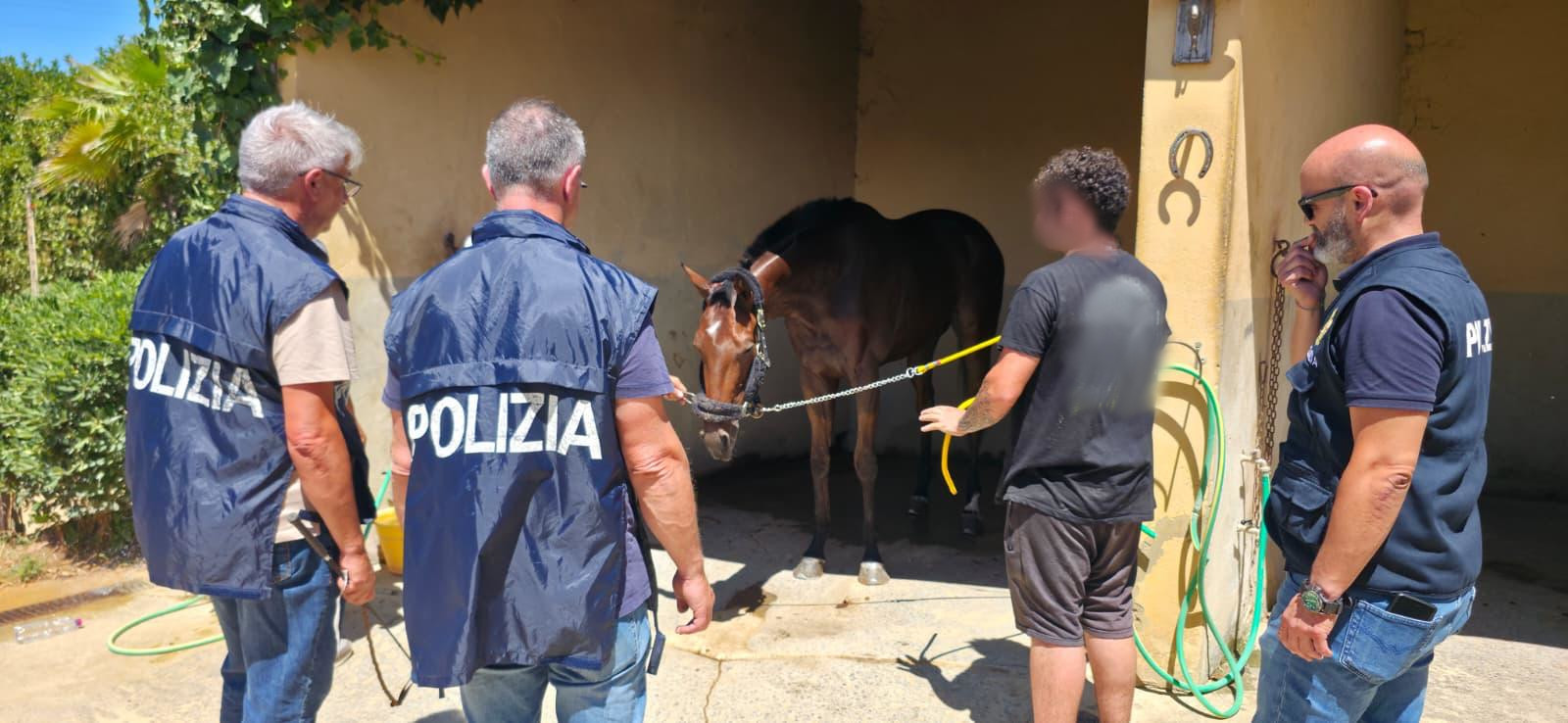 Caltagirone, contrasto alle corse clandestine di cavalli: 9 denunce