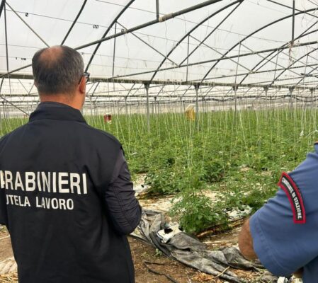 Contrasto al caporalato a Enna, lavoratori irregolari pagati 1 euro per ogni cassetta di arance raccolta: 4 misure cautelari – VIDEO