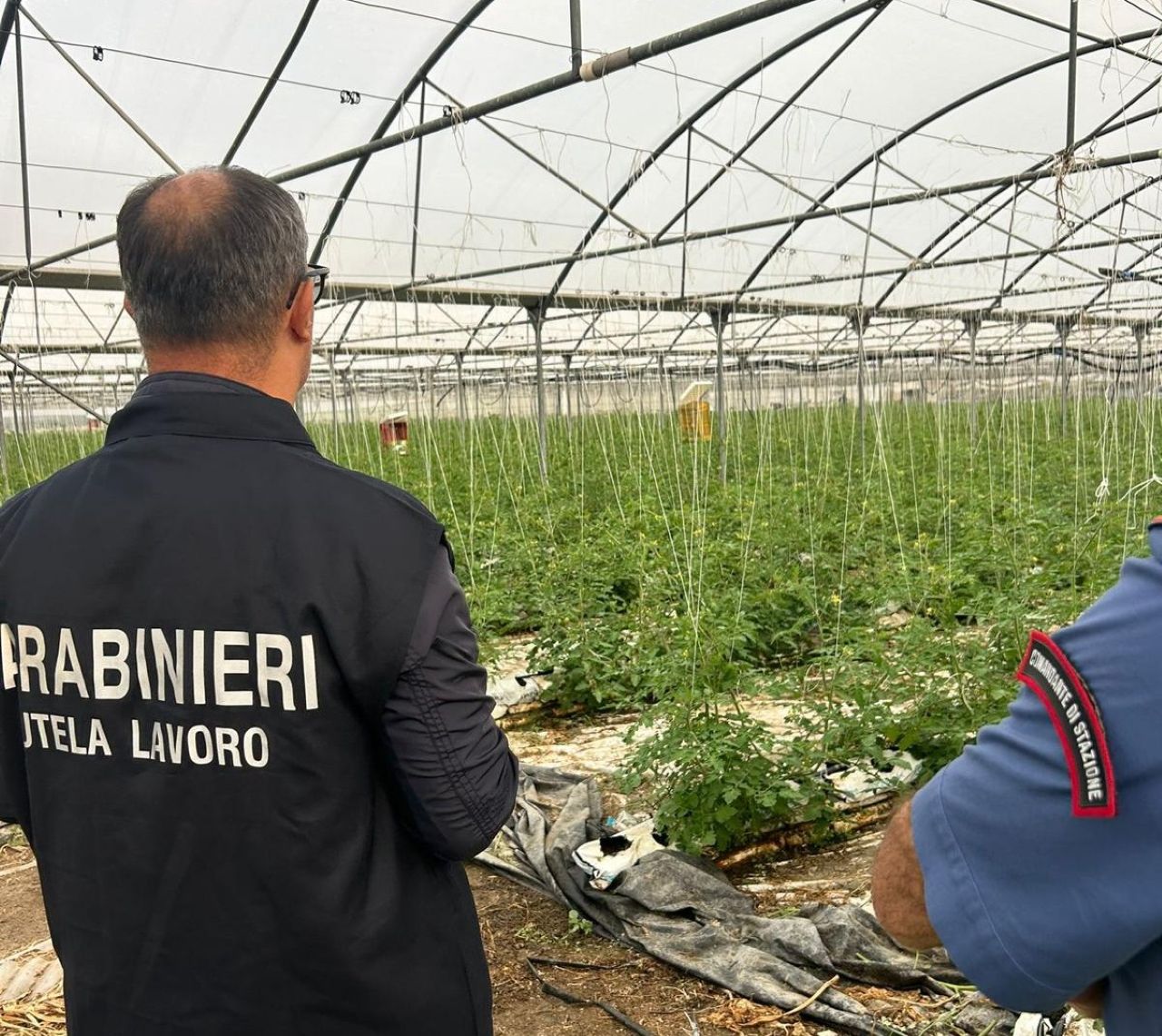 Contrasto al caporalato a Enna, lavoratori irregolari pagati 1 euro per ogni cassetta di arance raccolta: 4 misure cautelari – VIDEO