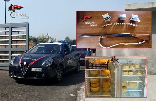 Blitz in una masseria a Monte Po’: sequestrati fucile, 72 cartucce e 70 chili di formaggi prodotti illegalmente