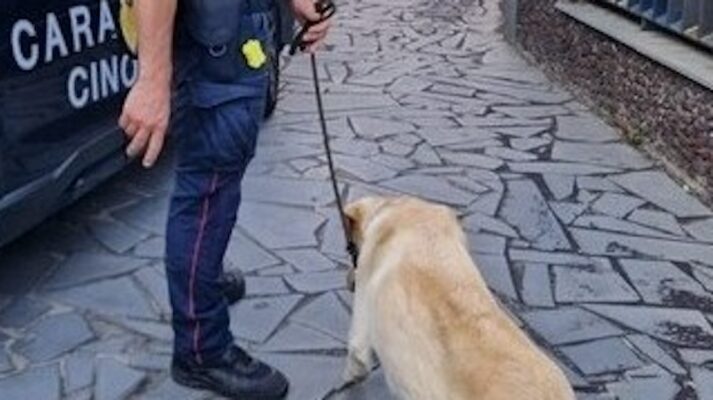 Servizi antidroga a Catania: tra sequestri e arresti