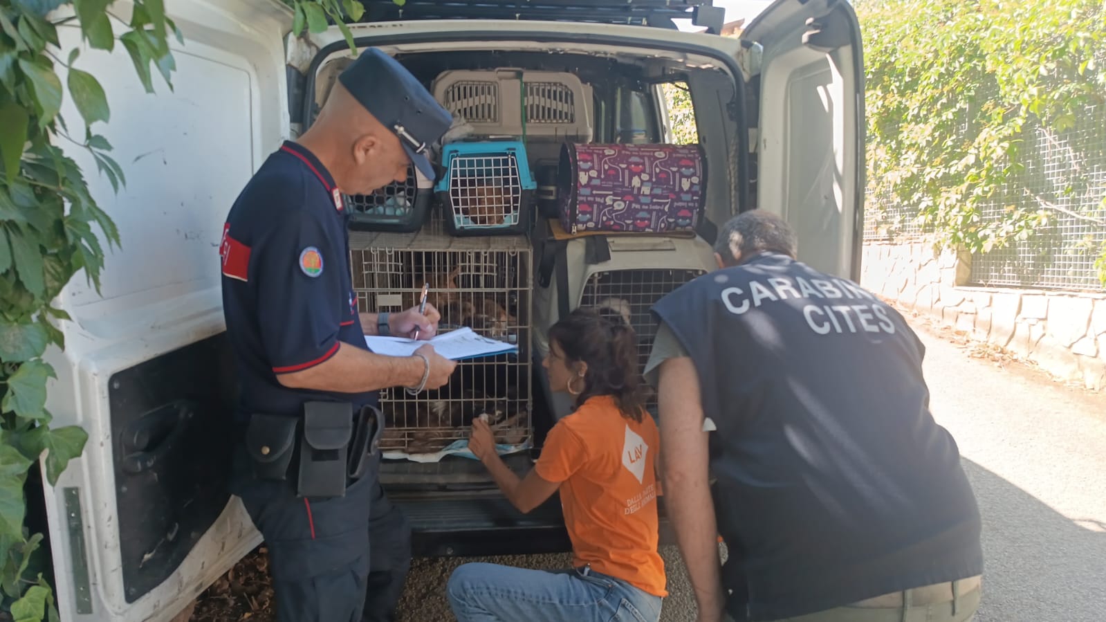 Orrore in un’abitazione del Palermitano: sequestrati oltre 100 cani, due persone denunciate