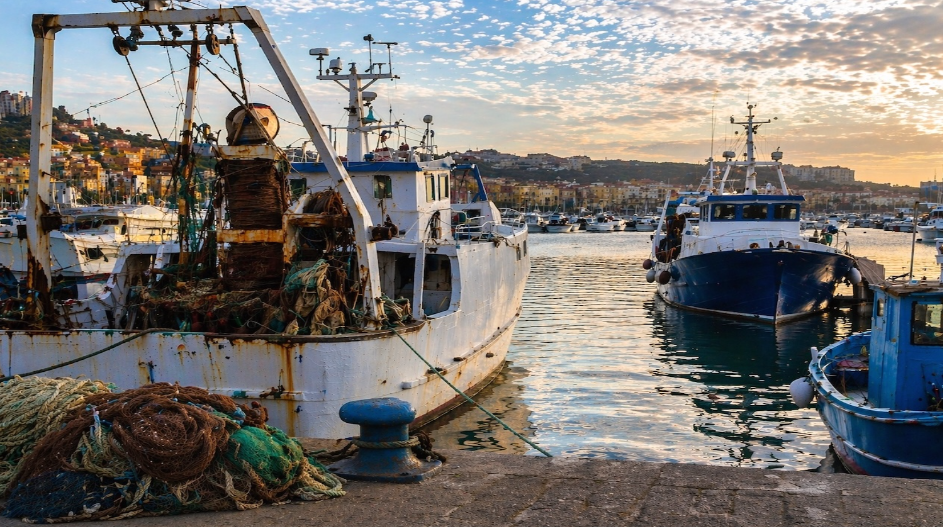 Allarme pesca siciliana, le associazioni richiedono un incontro al governo della Regione