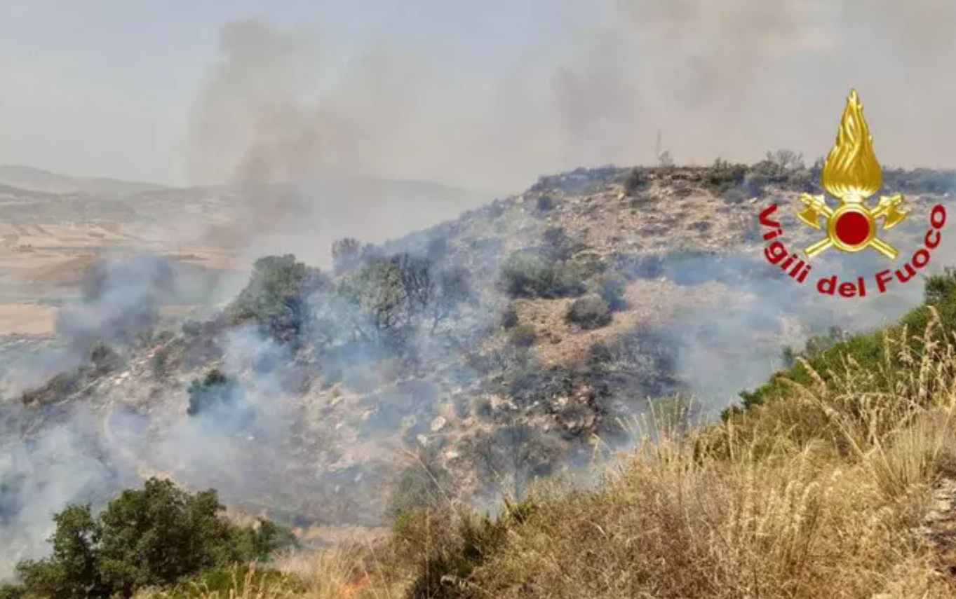 Incendi nel Palermitano, fiamme ancora attive a Montelepre: roghi anche a Roccapalumba, Castronovo e Prizzi