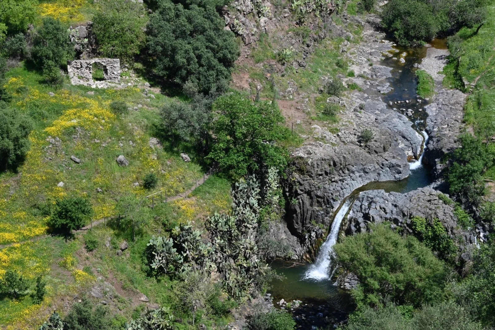 Sicilia, al via l’iter per due nuove riserve naturali: consultazione pubblica per la Valle dell’Ossena e la Valle del Loddiero