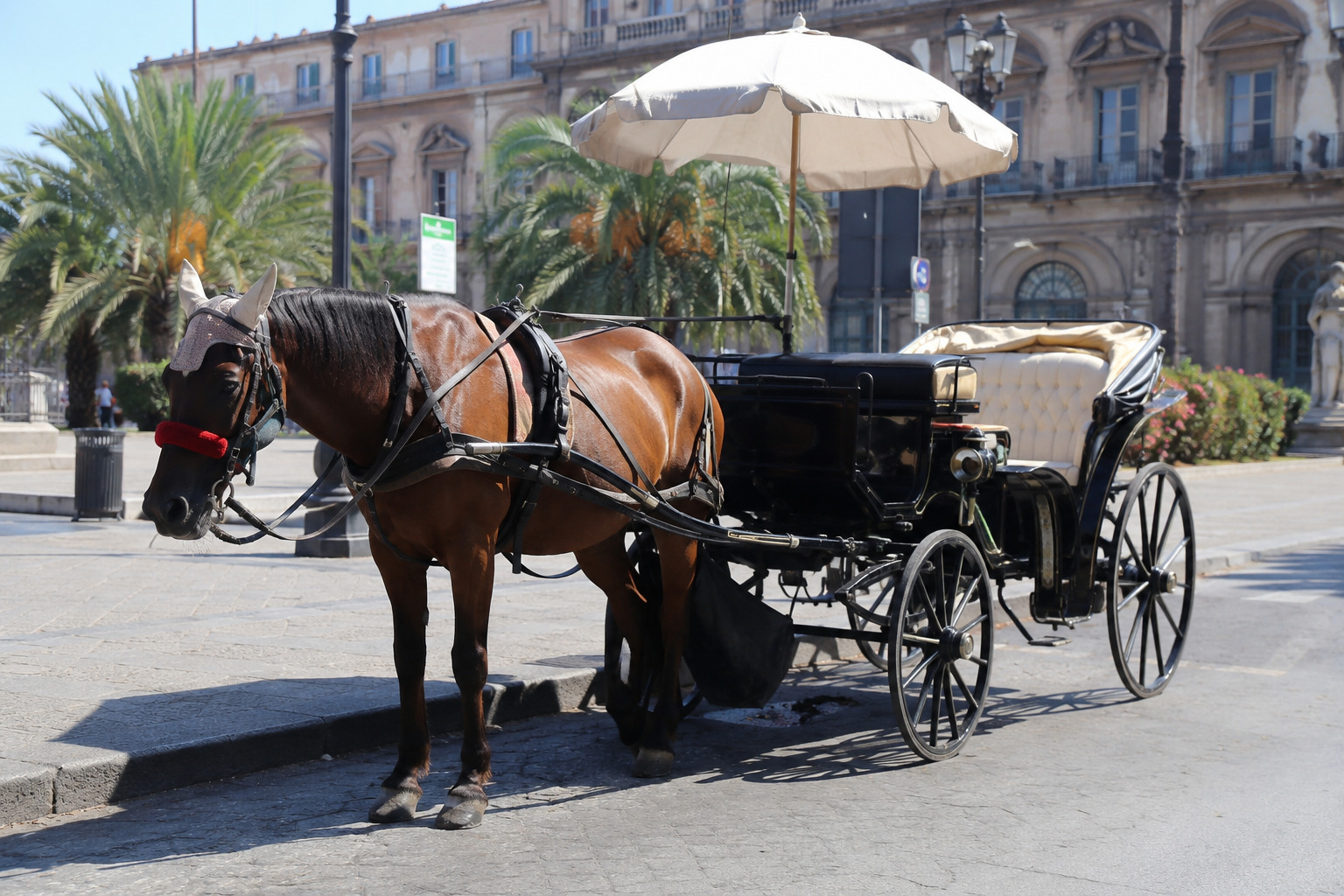 Palermo, stop oggi alle carrozze trainate da cavalli: il Comune blocca la circolazione per l’ondata di caldo