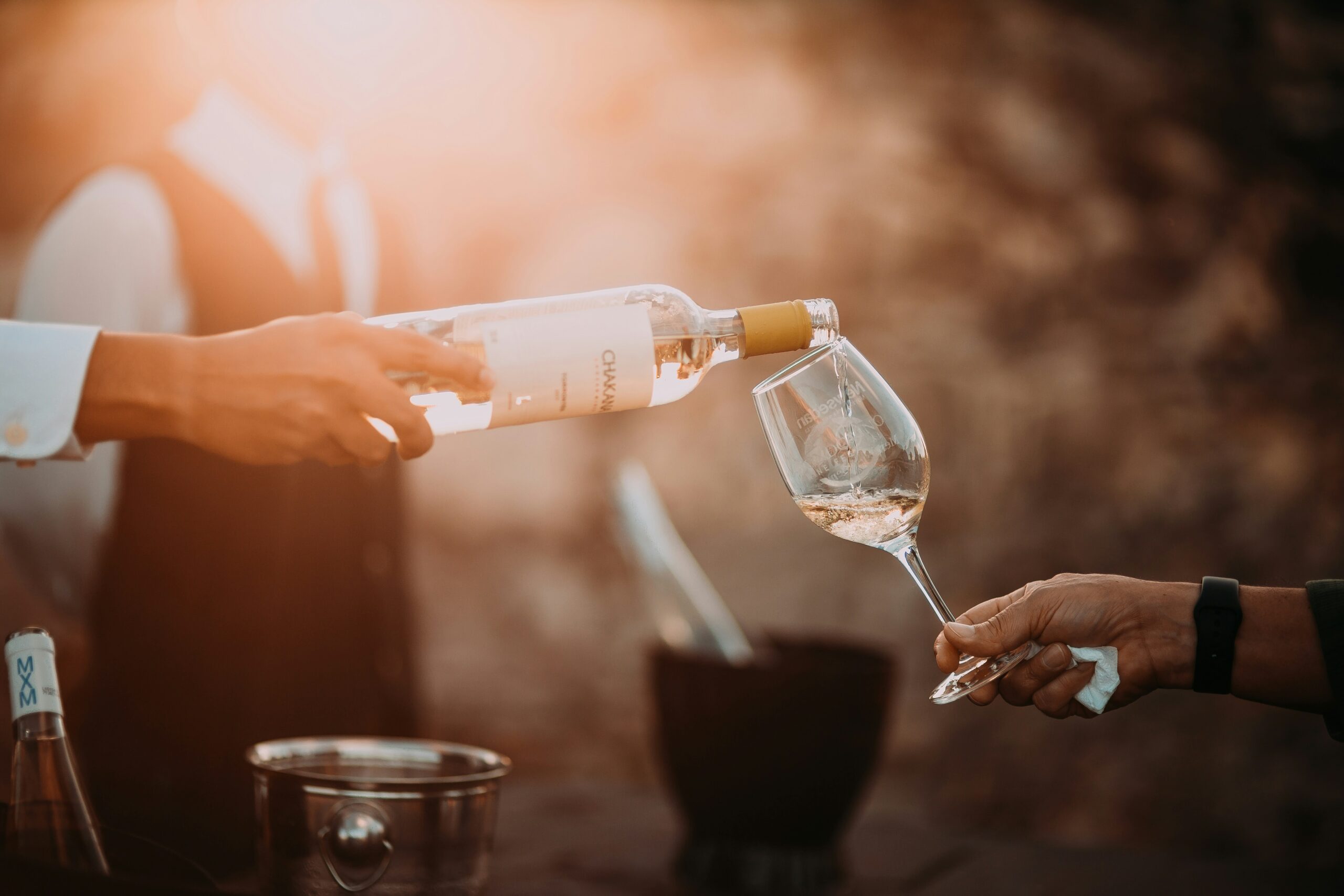 Migliori piattaforme di aggiornamento sull’export vitivinicolo in Europa: classifica dei 5 siti di riferimento per le cantine