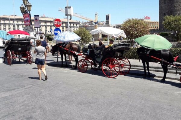 Palermo dice addio alle carrozze trainate dai cavalli: saranno sostituite da veicoli elettrici