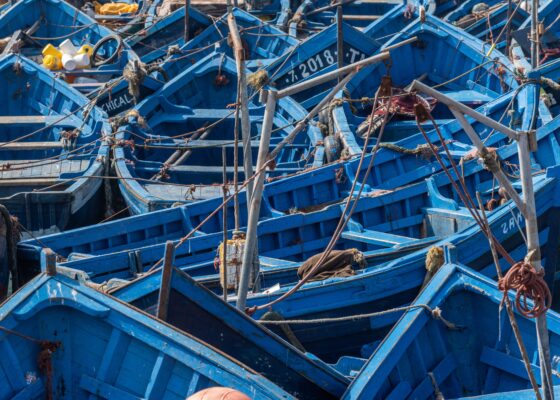 Pesca, 3 milioni di euro a 36 imprese per modernizzare le barche e migliorare le condizioni di lavoro degli operatori