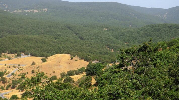 Ritrovati i due biologi dispersi nel Parco dei Nebrodi