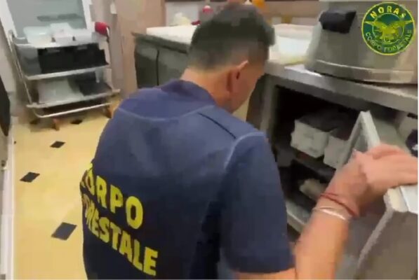 Dalla Scogliera alla Playa: ispezioni in due locali di Catania