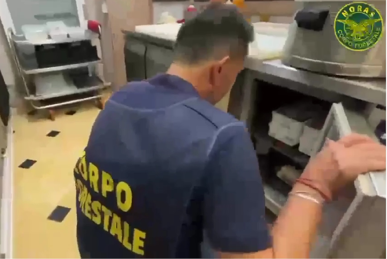 Dalla Scogliera alla Playa: ispezioni in due locali di Catania