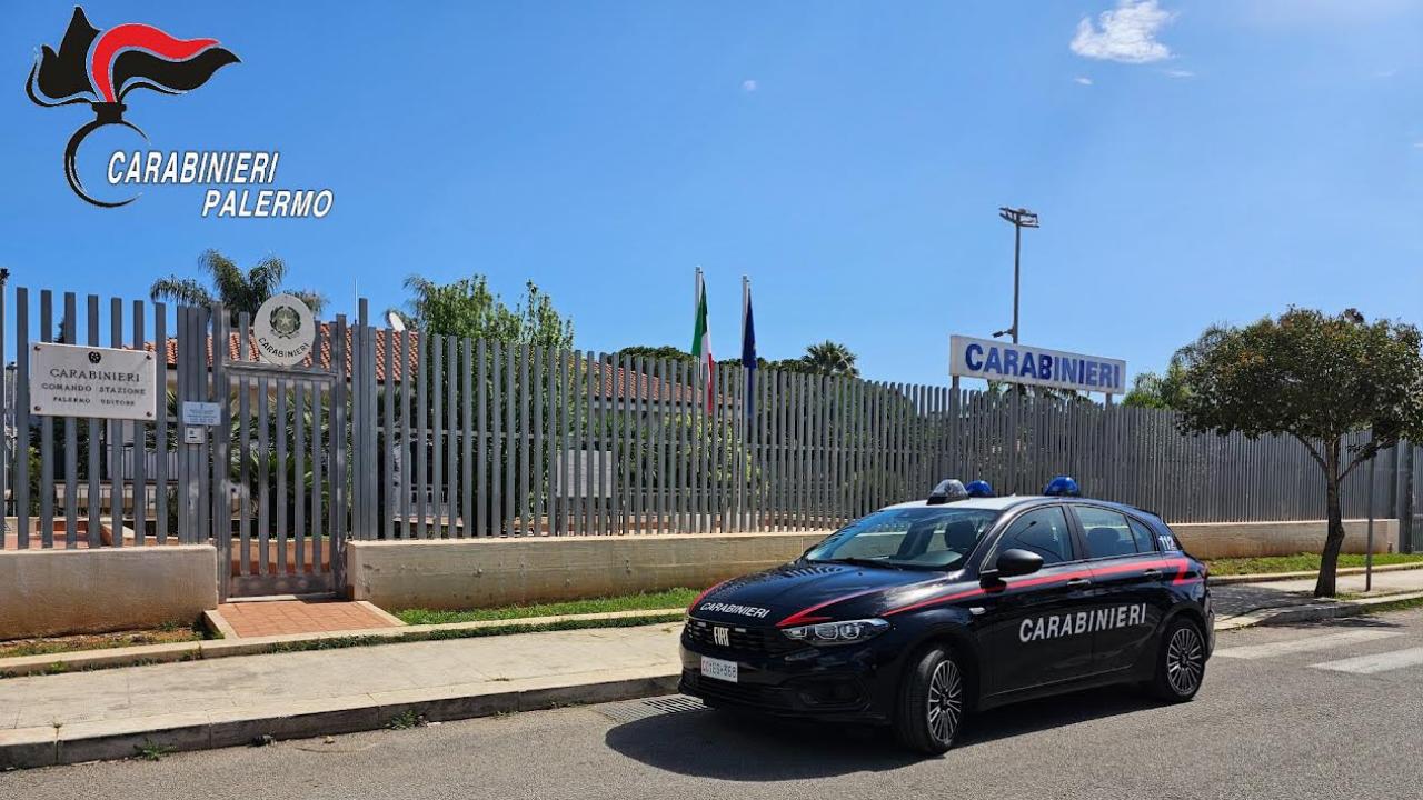 Palermo, piantagione di cannabis in pieno centro abitato