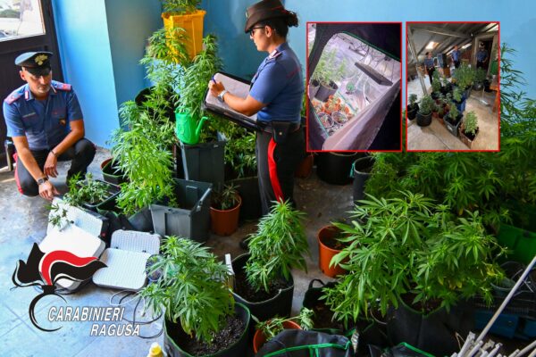 Ragusa, coltivazione di marijuana tra appartamenti, tetto e sottotetto: arrestato 44enne