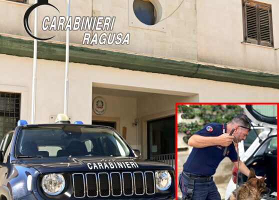 Indizi tra gli scaffali del salotto e della cucina, nei guai due fratelli per droga