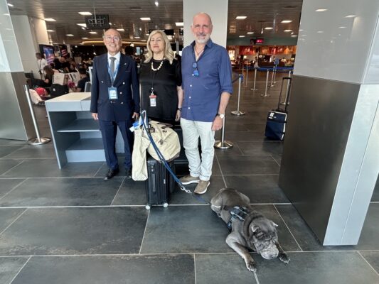 Geppino è il primo cane-passeggero su volo Ita Airways