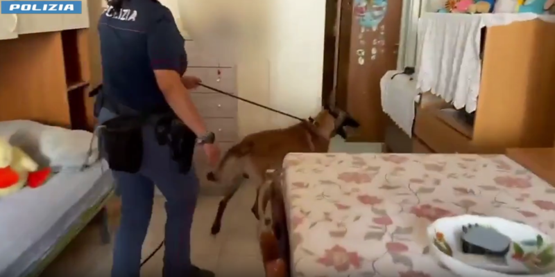 Catania, “Rex” fiuta la droga nella cameretta di un 14enne: arrestato per spaccio
