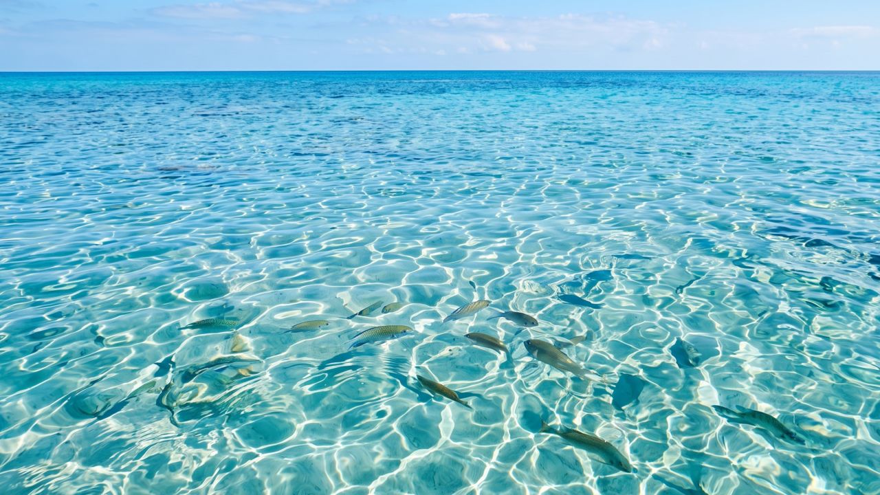 Dissalatori alle Eolie, associazione ecologista chiede verifiche a tutela del mare