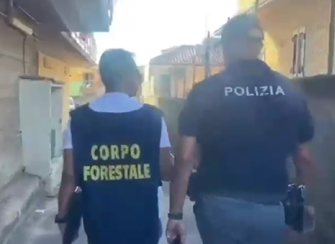 Panificio e pasticceria abusivi nel garage di casa: scatta il sequestro, trovati centinaia di chili di prodotti