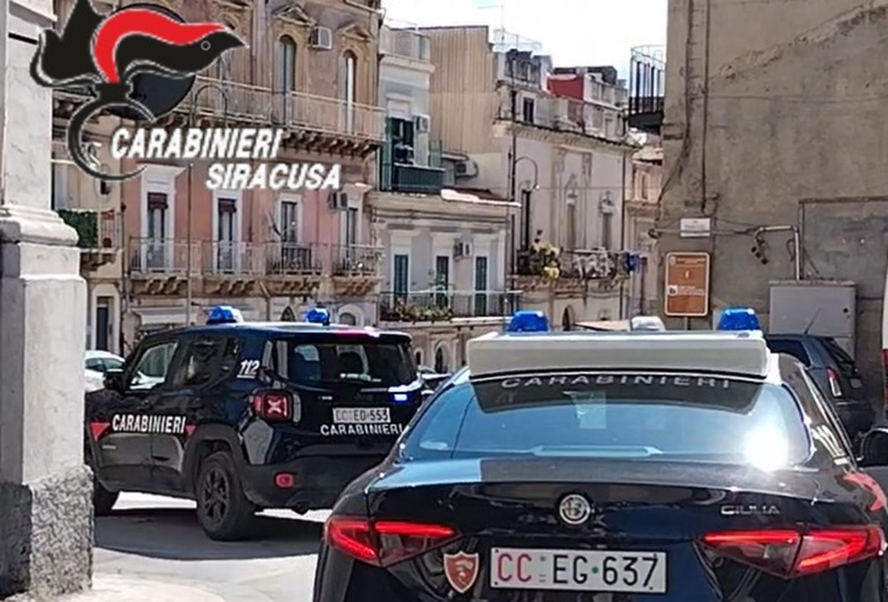 Lavanderia trasformata in serra indoor, piante di cannabis in casa: denunciata una coppia