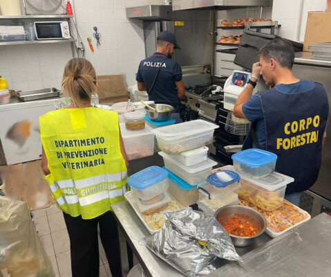 Catania, prodotti non tracciati e mal conservati: sequestrati 210 kg di alimenti