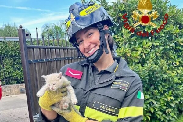 Gattino incastrato in un pluviale, salvato dai Vigili del fuoco dopo ore di lavoro