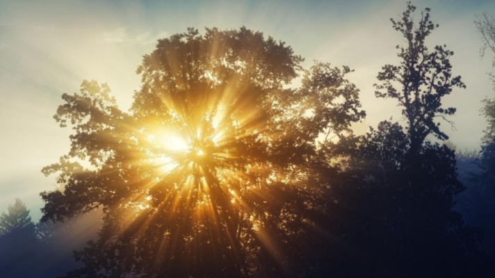 Il caldo è ormai un ricordo lontano: clima gradevole e leggera umidità in questo inizio di settimana