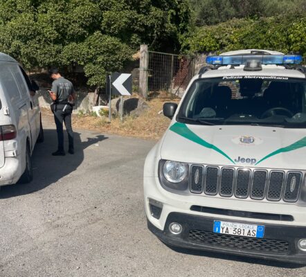 Maxi-trappola per cinghiali nascosta nel bosco ad Acquedolci: scatta il sequestro, è la quinta in un mese