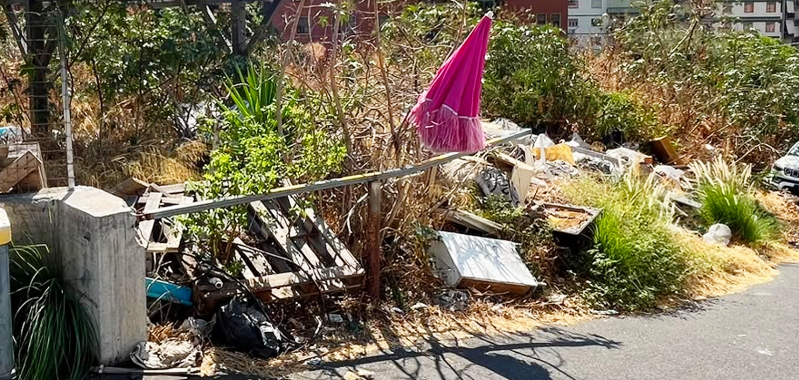 Catania, “viale Marco Polo trasformato in una discarica”: la denuncia della consigliera Angela Cerri
