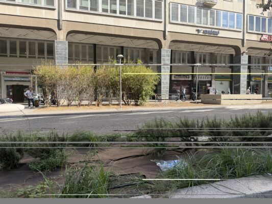 Allarme sicurezza in Corso Sicilia, CNA Catania: “Interventi urgenti o le imprese rischiano di scappare”