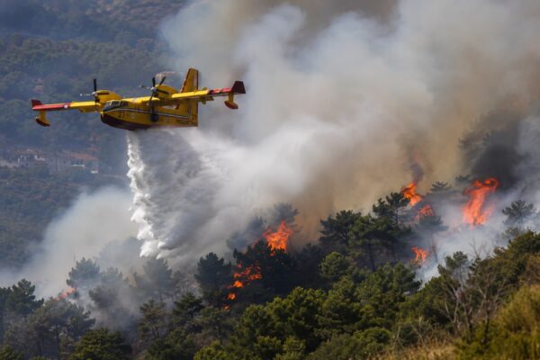 Incendi in Sicilia, weekend di fuoco: 198 roghi in due giorni, mobilitato l’intero dispositivo regionale