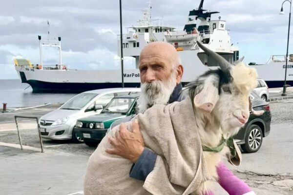Stromboli, Pongo resta con il pescatore che lo salvò: il caprone ferito diventa animale d’affezione e non potrà essere macellato
