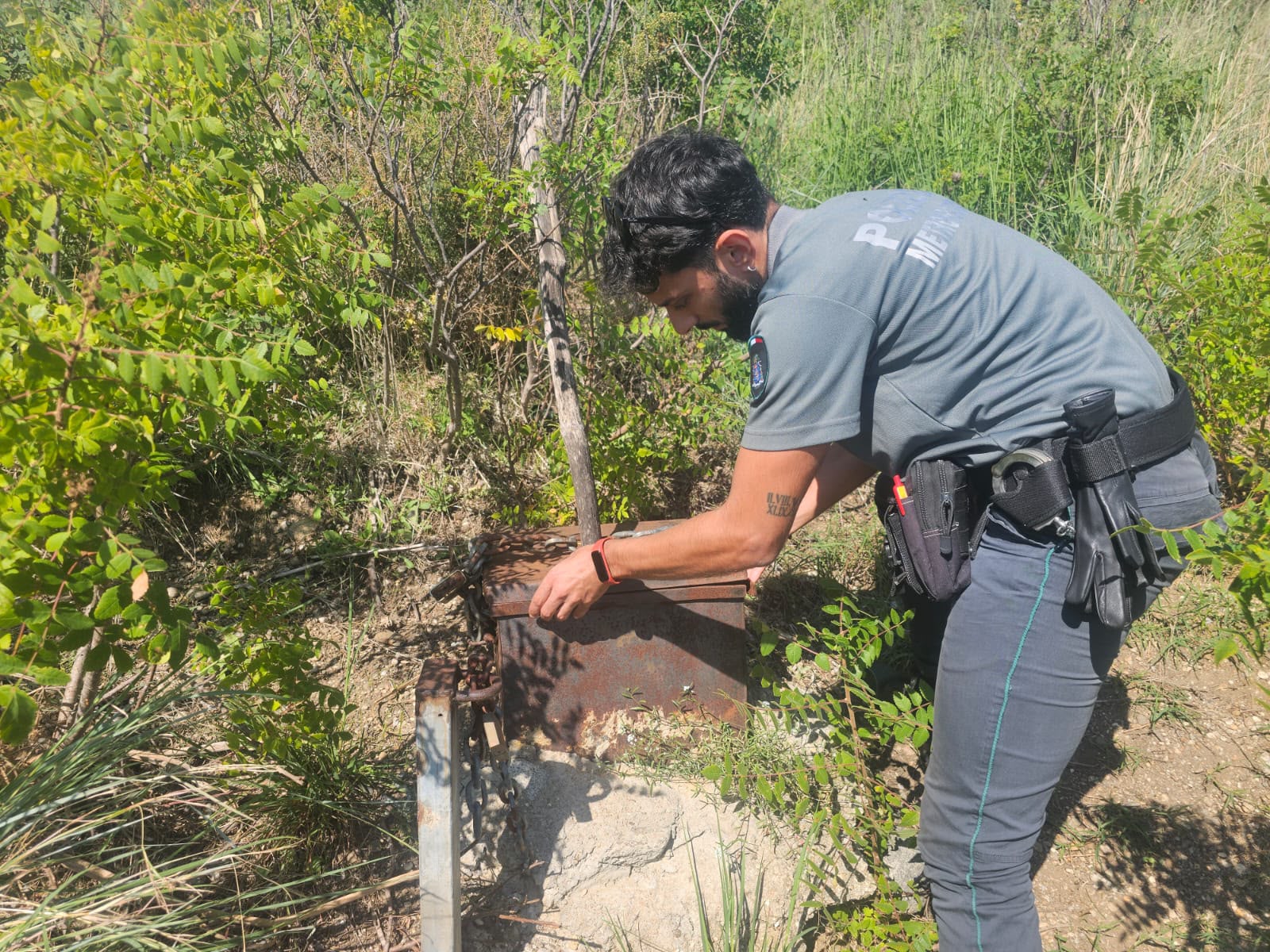 Falco colpito da pallini di piombo e trappole per cinghiali: stretta contro il bracconaggio nel Messinese
