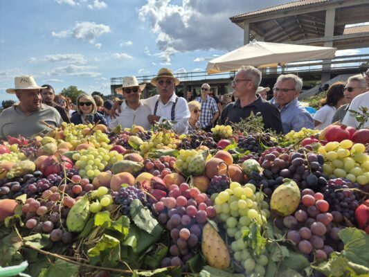 A casa Giuffrida torna la vendemmia: tradizione, sapori siciliani e auto d’epoca a Trecastagni