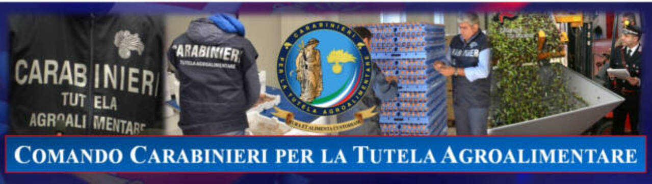 Truffa aggravata per ottenere fondi pubblici nel settore agricolo: 10 misure cautelari tra Palermo, Messina, Enna e Caltanissetta