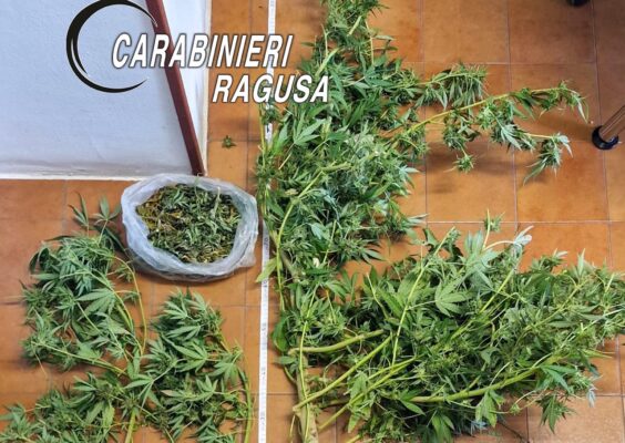 Chiaramonte Gulfi, scoperta una coltivazione di marijuana in casa: arrestato un 54enne