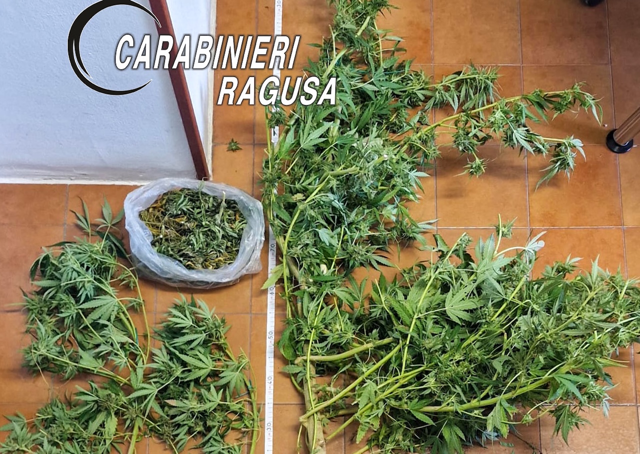 Chiaramonte Gulfi, scoperta una coltivazione di marijuana in casa: arrestato un 54enne