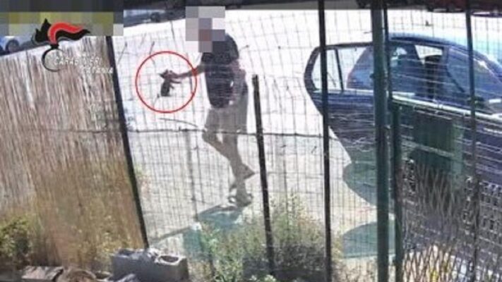 Gattini abbandonati e lanciati in una colonia felina del Catanese: denunciato un 76enne