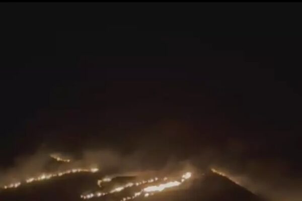 Vasto incendio a Castellammare del Golfo, fiamme verso la Riserva dello Zingaro: evacuate alcune abitazioni