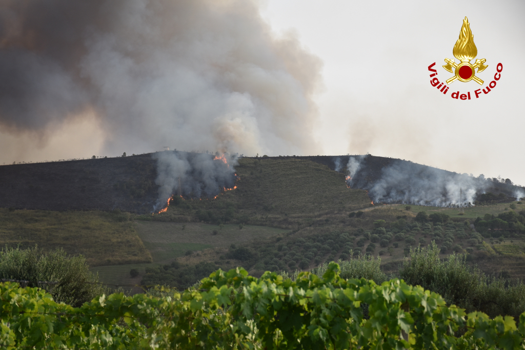 Sicilia emergenza climatica incendi (7)