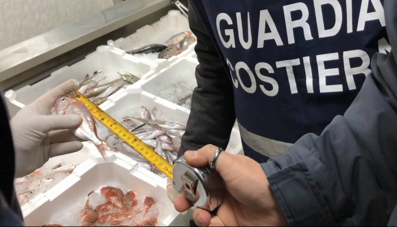 comunicato stampa (1)