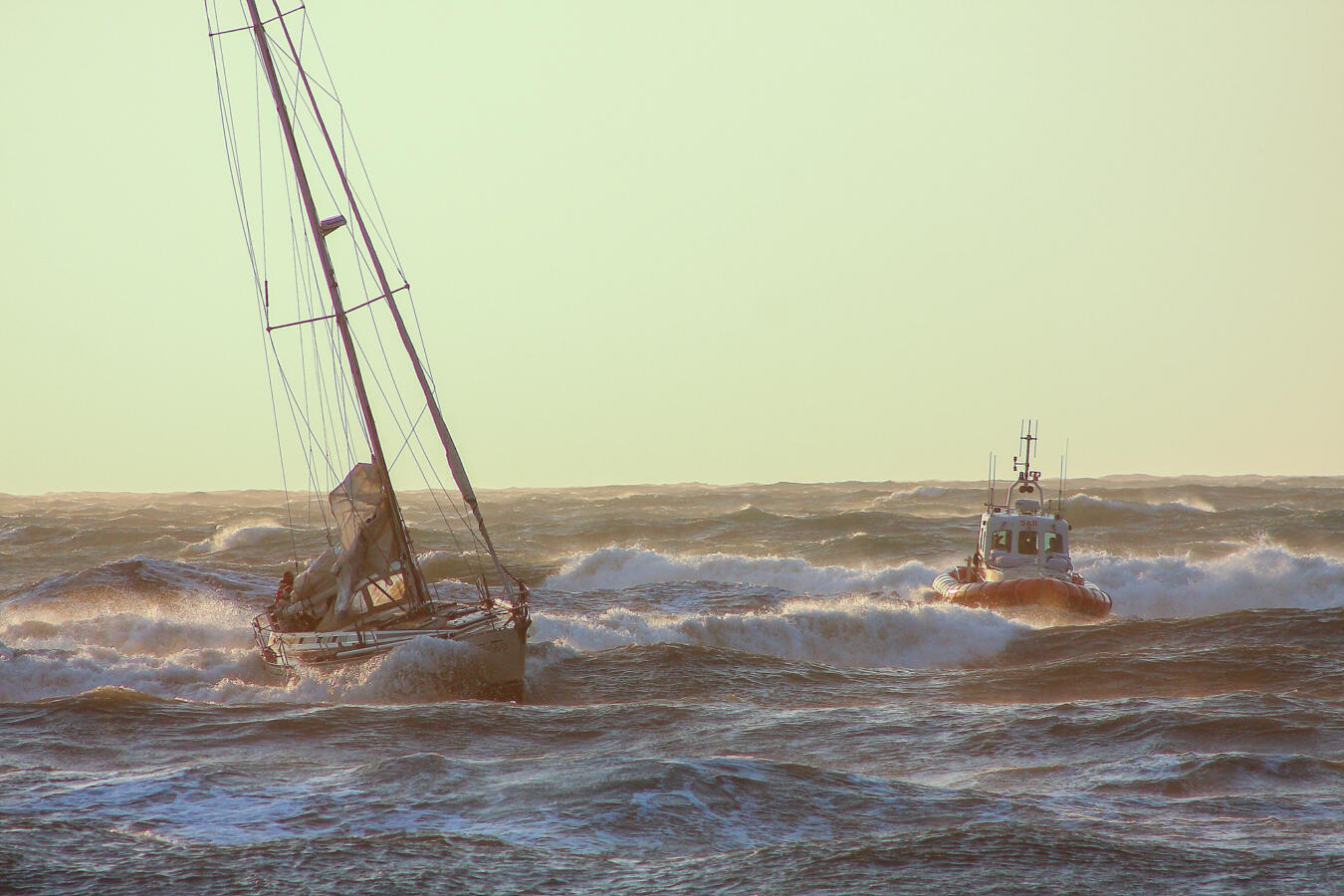 comunicato stampa (12)