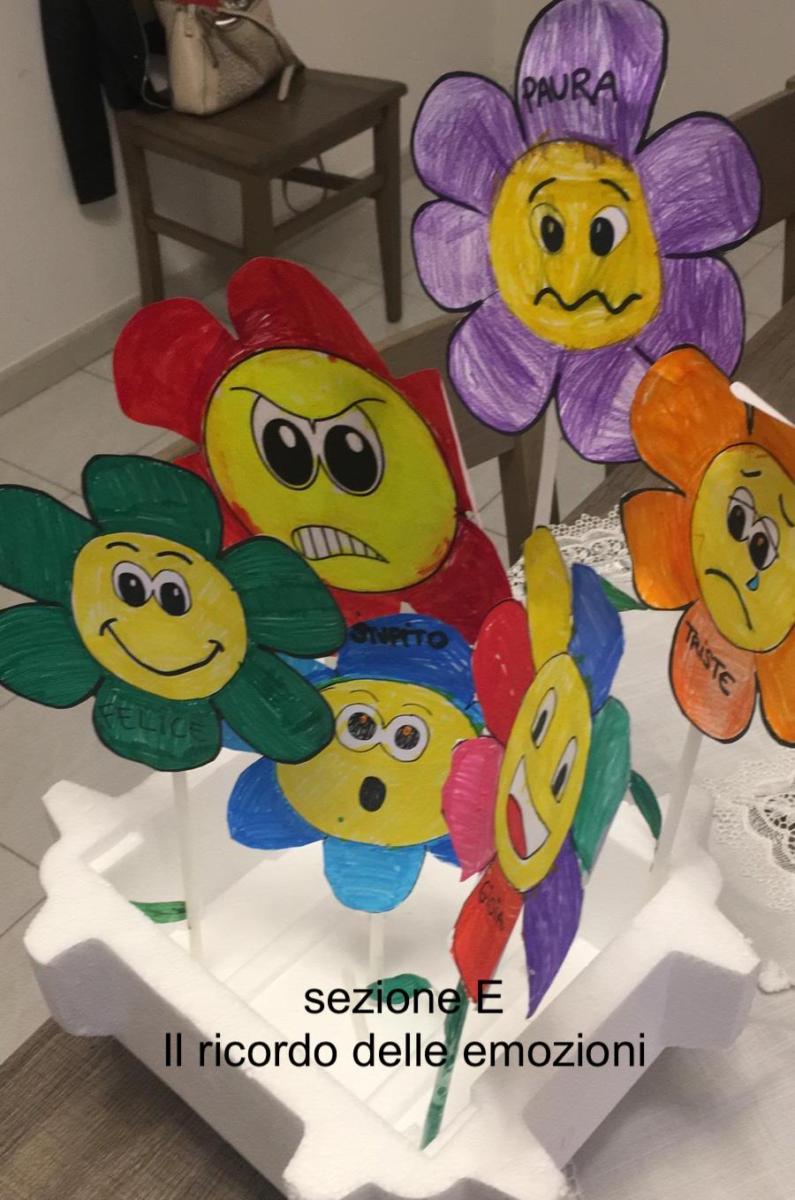 sezione E