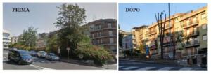 Capitozzatura degli alberi quartiere Borgo-Sanzio 