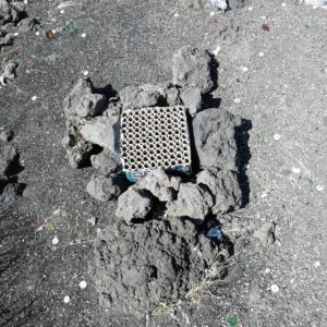 spazzatura Etna4