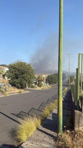 1b83c282-5ae7-483a-99e9-585e94e42d24