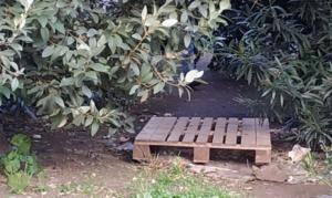 Area Verde parco Aldo Moro