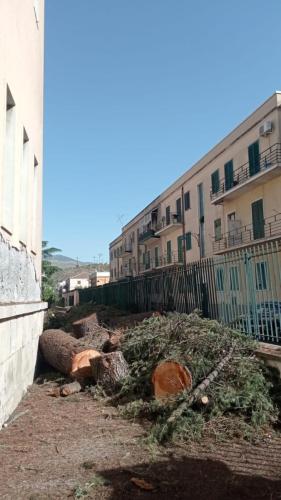 2bcaaf11-a800-4e8b-8440-6e3c4ff35c66