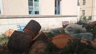 899d3d44-5a34-4bc7-b961-3b3b06f43572